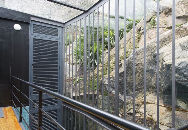 Apartamento en Oporto - GE São João Apartamento en Oporto - GE São João